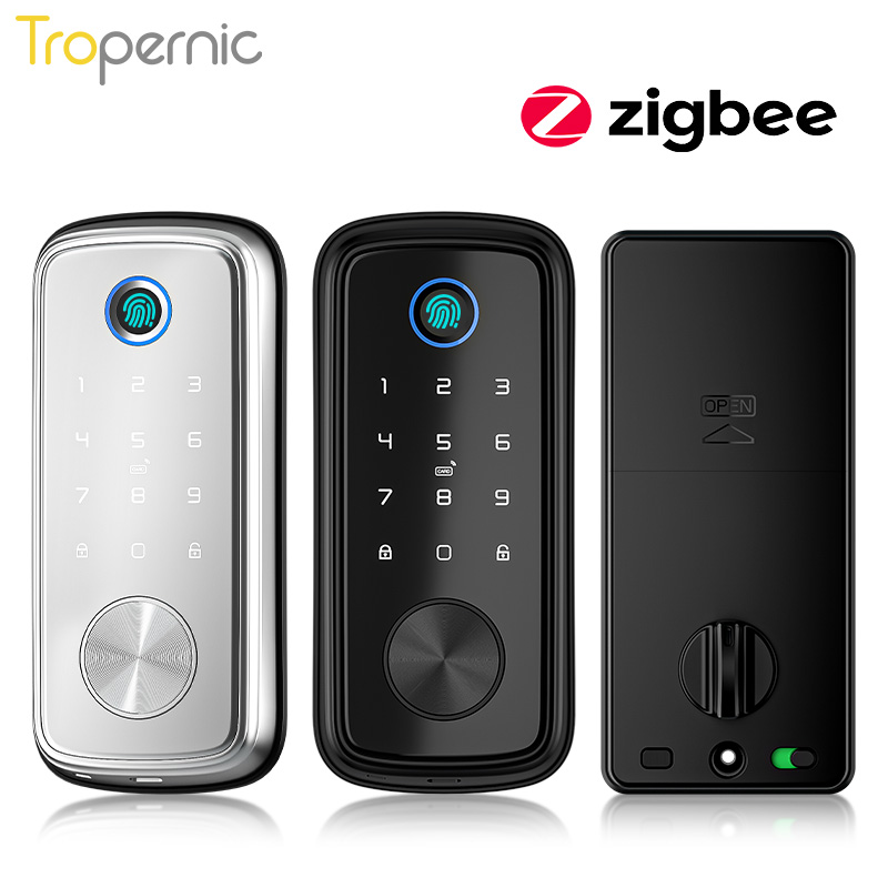 Tuya Zigbee-Serrures à pêne do - Smart Home Door Lock avis et prix